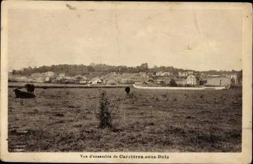 Set von 124 Ak Departement Yvelines, z.B. Versaille, Dampierre etc.