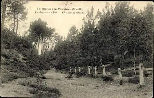 Set von 124 Ak Departement Yvelines, z.B. Versaille, Dampierre etc.