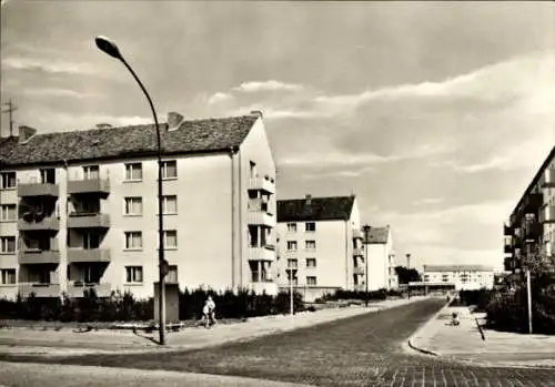 Ak Hansestadt Greifswald, Max Hagen Weg