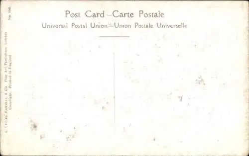 Ak Drei Hunde, Beagle, Tierporträt