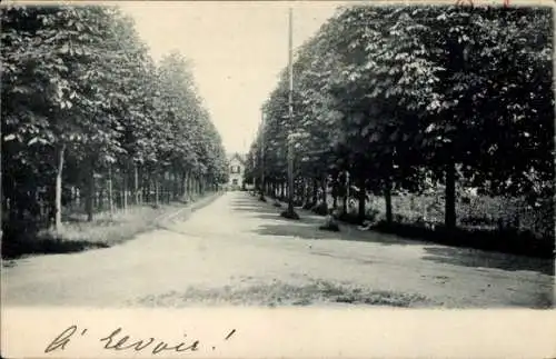 Ak Terborg Gelderland, Allee, Villa