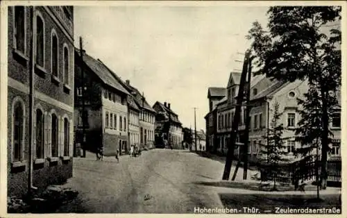 Ak Hohenleuben in Thüringen, Zeulenrodaerstraße