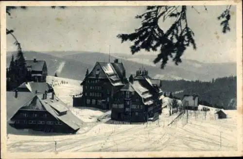 Ak Feldberg im Schwarzwald, Feldbergerhof, Winter