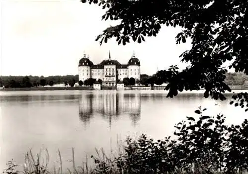 Ak Moritzburg in Sachsen, Schloss Moritzburg