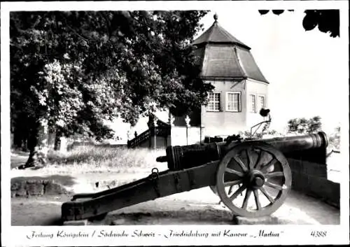 Ak Königstein an der Elbe Sächsische Schweiz, Festung Königstein, Friedrichsburg mit Kanone Martius