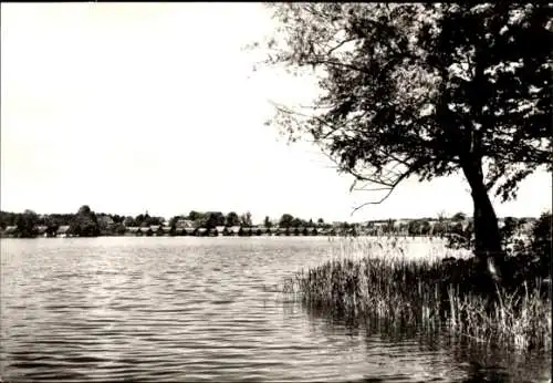 Ak Mirow Mecklenburgische Seenplatte, Mirower See