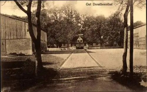 Ak Ostseebad Damp, Gut Dorotheenthal