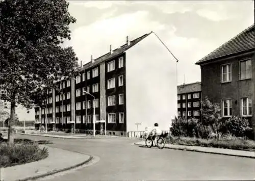 Ak Muldenstein an der Mulde Sachsen Anhalt, Neue Burgkemnitzer Straße