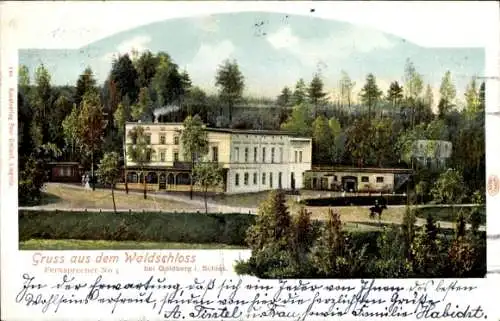 Ak Złotoryja Goldberg Schlesien, Waldschloss