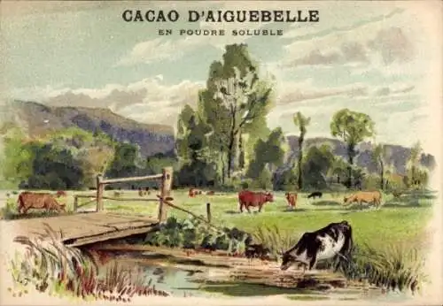 Künstler Litho Reklame, Cacao d'Aiguebelle, Peres Trappistes, Rinder auf der Weide