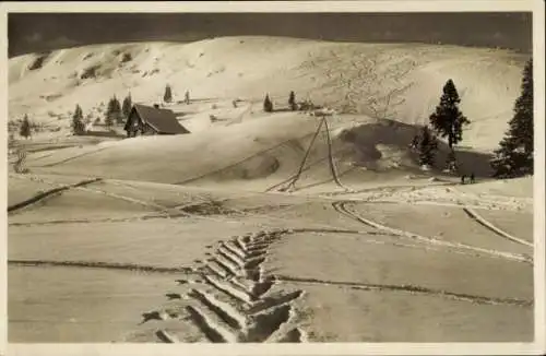 Ak Feldberg im Schwarzwald, Skigelände am Baldenwegerbuck mit Baldenwegerhütte, Winter
