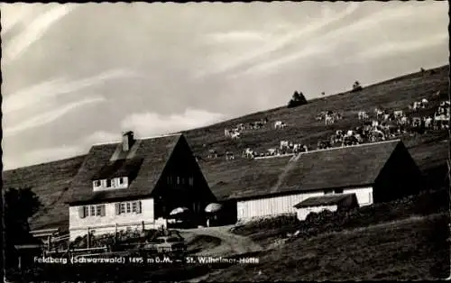 Ak Feldberg im Schwarzwald, St. Wilhelmer-Hütte