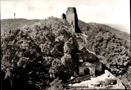 Ak Steinthaleben Kyffhäuserland in Thüringen, Kyffhäuser, Museum, Oberburg, Fernsehturm