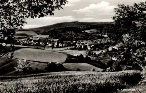 Ak Unterabtsteinach Abtsteinach an der Bergstraße Odenwald, Gesamtansicht