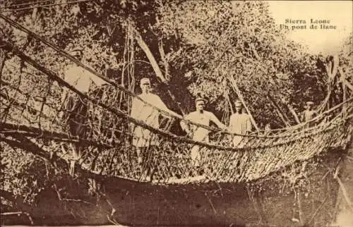 Ak Sierra Leone, Eine Lianenbrücke