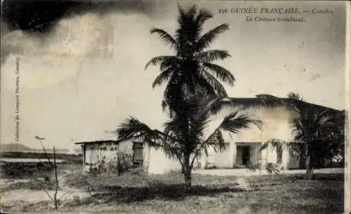 Ak Conakry Guinea, Le Chateau Tremblant, Blick auf die Villa, Palme