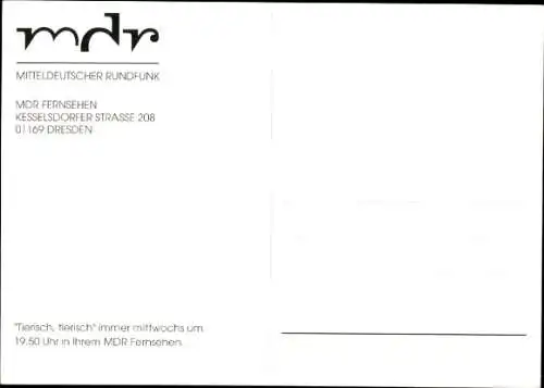 Ak Moderatorin Uta Bresan, Portrait, Autogramm, Hund, MDR