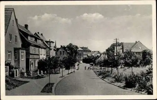 Ak Heilbad Heiligenstadt Eichsfeld Thüringen, Holzweg