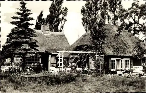 Ak Ostseebad Zingst, Blick auf ein idyllisches Wohnhaus mit Reetdächern