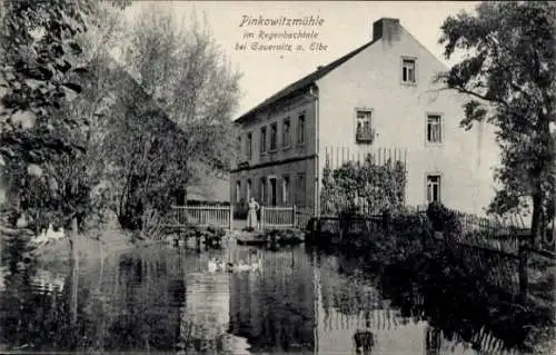 Ak Pinkowitz Klipphausen Sachsen, Pinkowitzmühle, Regenbachtal