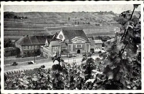 Ak Wellenstein Luxemburg, Cave Cooperative des Vignerons, Weinanbau