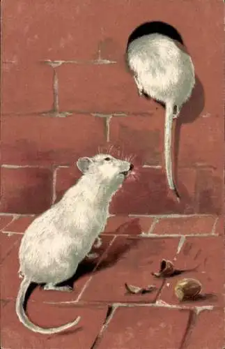 Präge Litho Zwei weiße Ratten, Mäuse, Haselnuss