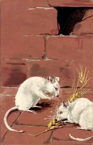 Präge Litho Zwei weiße Mäuse, Ratten