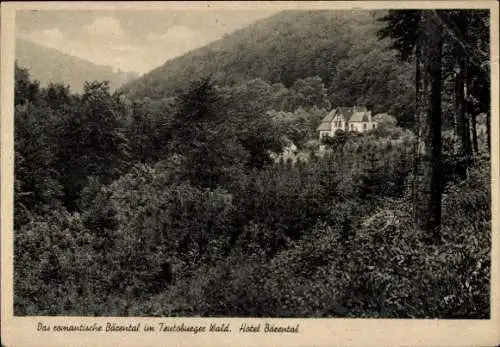 Ak Bärental Feldberg im Schwarzwald, Hotel Bärental