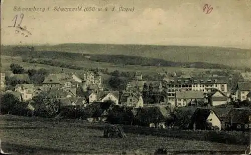 Ak Schömberg im Schwarzwald Württemberg, Gesamtansicht