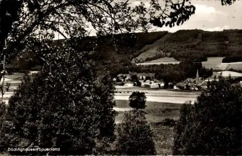 Ak Düdinghausen Medebach im Sauerland, Panorama