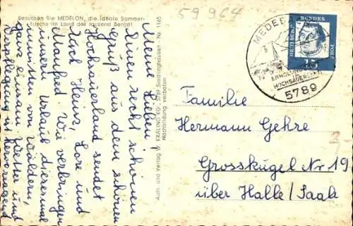 Ak Medelon Medebach im Sauerland, Teilansicht, Orketal, Waldwiese, Rotwild im Wald