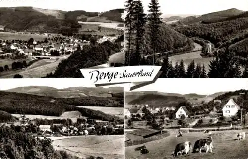 Ak Berge Meschede im Sauerland, Landschaft, Kühe