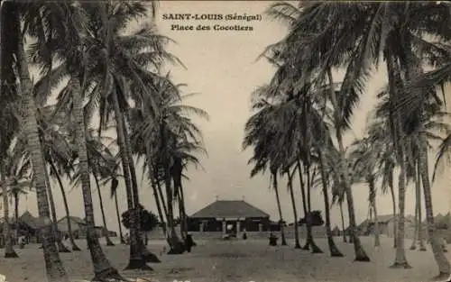 Ak Saint Louis Senegal, Place des Cocotiers, Palmen, Sand, Häuser