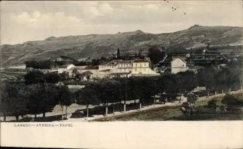 Ak Porto Portugal, Lamego Avenida Fafel, Panorama