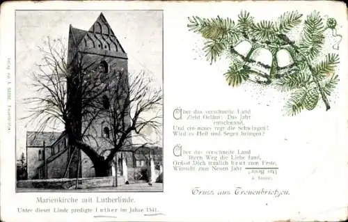 Ak Treuenbrietzen in Brandenburg, Marienkirche, Lutherlinde