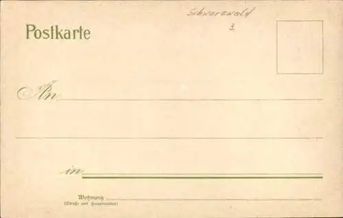 Ak Schwarzwald, Hochzeitsgesellschaft, Bauern in Trachten