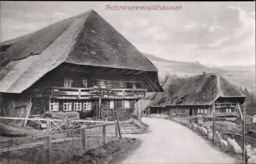 Ak Schwarzwaldhäuser