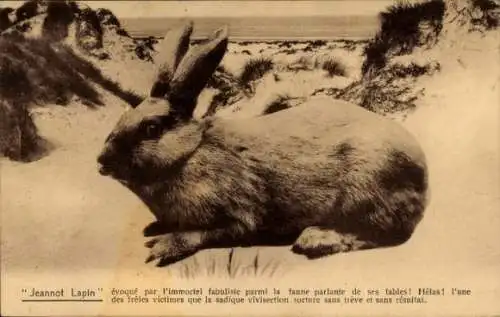 Ak Jeannot Lapin, Die Geschichte von Benjamin Kaninchen Roman von Beatrix Potter