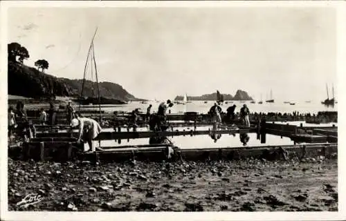 Ak Cancale Ille et Vilaine, les parcs a huitres, pointe du Hock, Rocher de Cancale