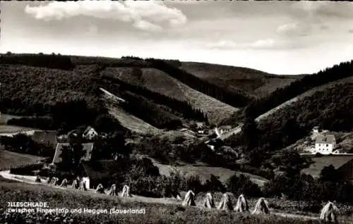 Ak Illeschlade Finnentrop im Sauerland, Panorama