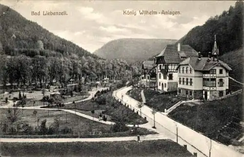 Ak Bad Liebenzell im Schwarzwald, König Wilhelm-Anlagen