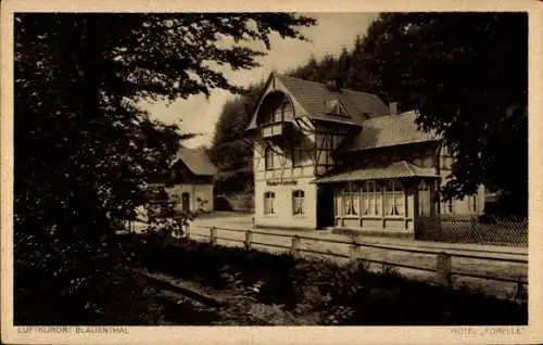 Ak Blauenthal Eibenstock im Erzgebirge Sachsen, Hotel Parkrestaurant Forelle