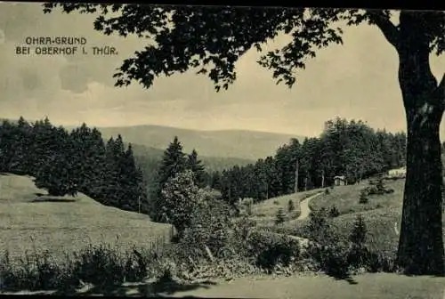 Ak Oberhof im Thüringer Wald, Partie im Ohra Grund, Wald