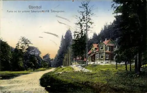 Ak Oberhof im Thüringer Wald, Schweizerhütte, Silbergraben