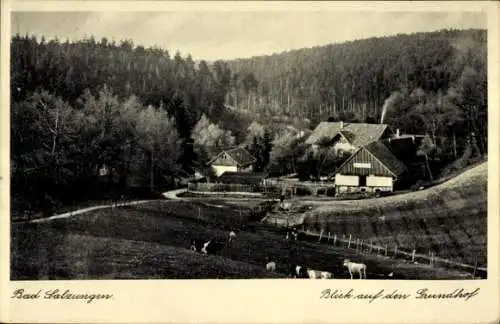 Ak Bad Salzungen in Thüringen, Grundhof