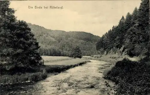 Ak Rübeland Oberharz am Brocken, Bode, Teilansicht