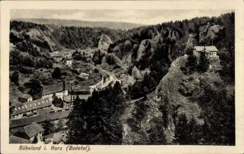 Ak Rübeland Oberharz am Brocken, Bodetal, Panorama