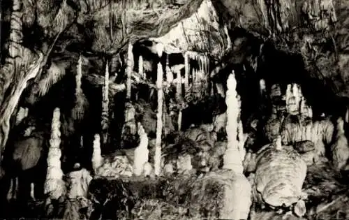 Ak Rübeland Oberharz am Brocken, Tropfsteinhöhlen, Baumannshöhle, Säulenhalle