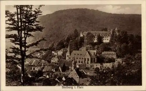 Ak Stolberg im Harz, Totalansicht, Kirche, Wald