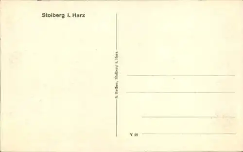 Ak Stolberg im Harz, Totalansicht, Kirche, Wald